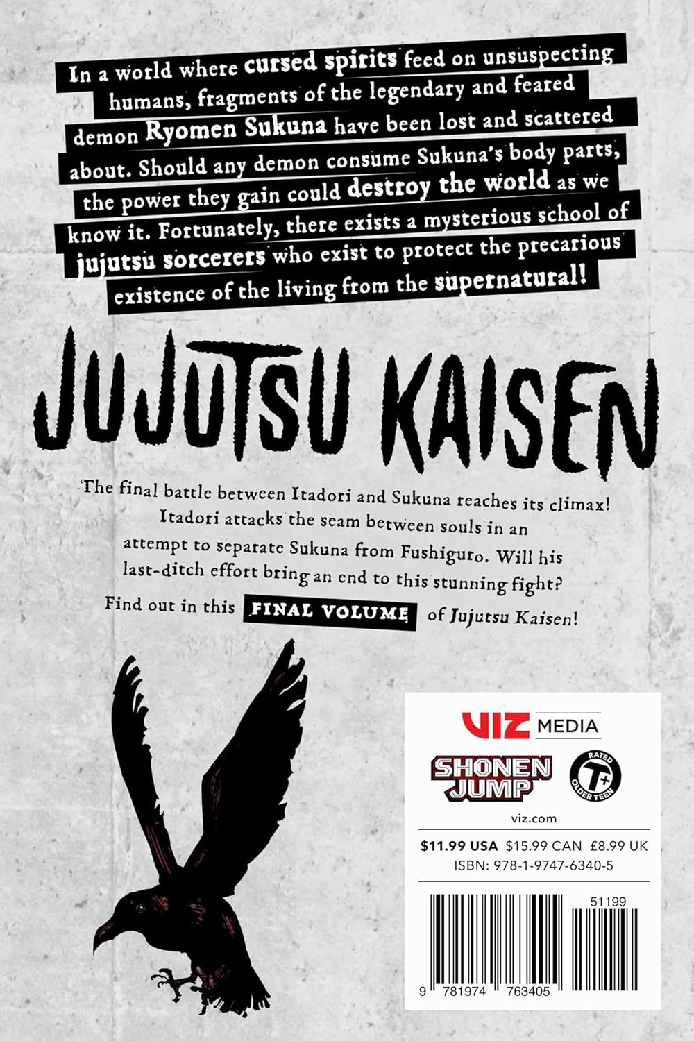 Jujutsu Kaisen, Vol. 30   From Now On